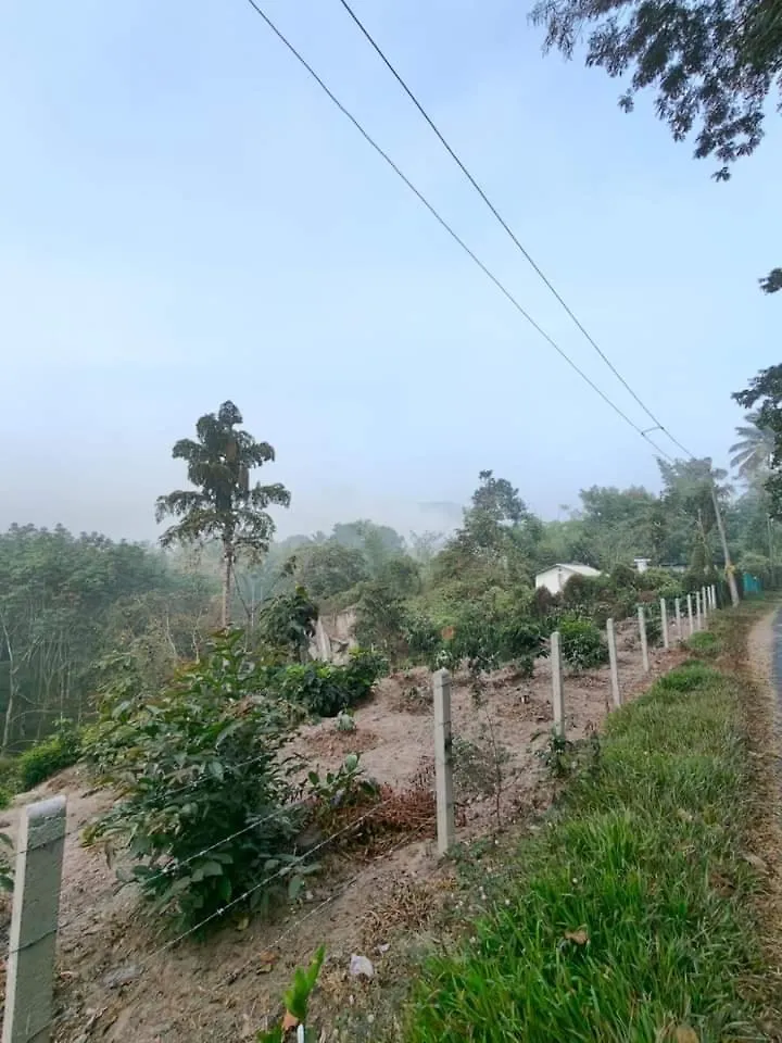Bhuvanam Homestay Kalpetta