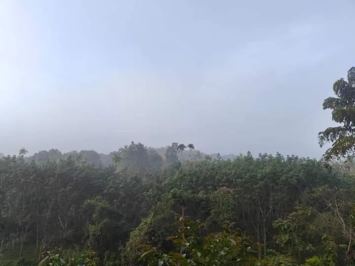 Bhuvanam Homestay Kalpetta India