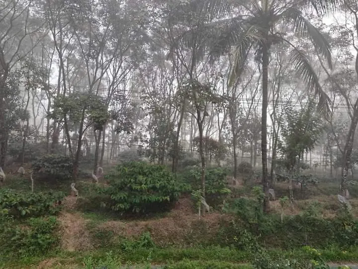 Bhuvanam Homestay Kalpetta