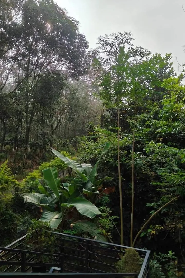 Bhuvanam Homestay Kalpetta India